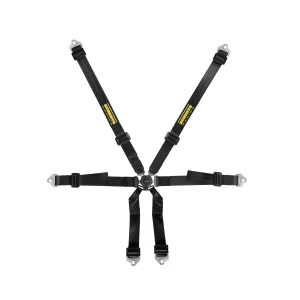 SCHROTH 2 x 2 Clubman 6-Point Racing Harness  (2030 FIA Approved)