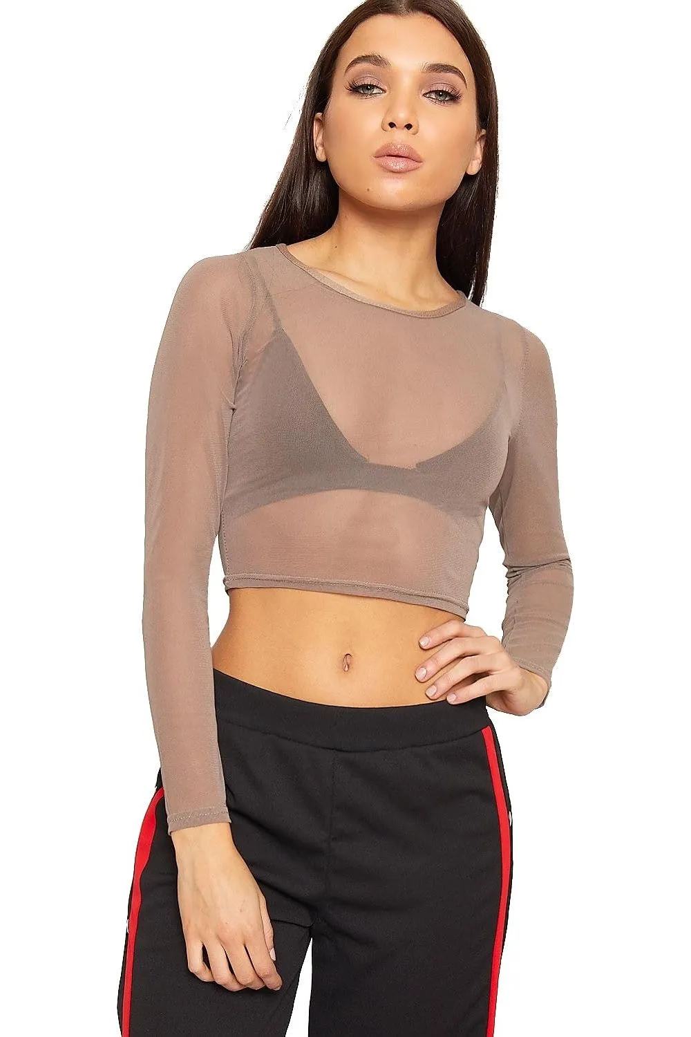 Sheer Mesh Long Sleeve Crop Top