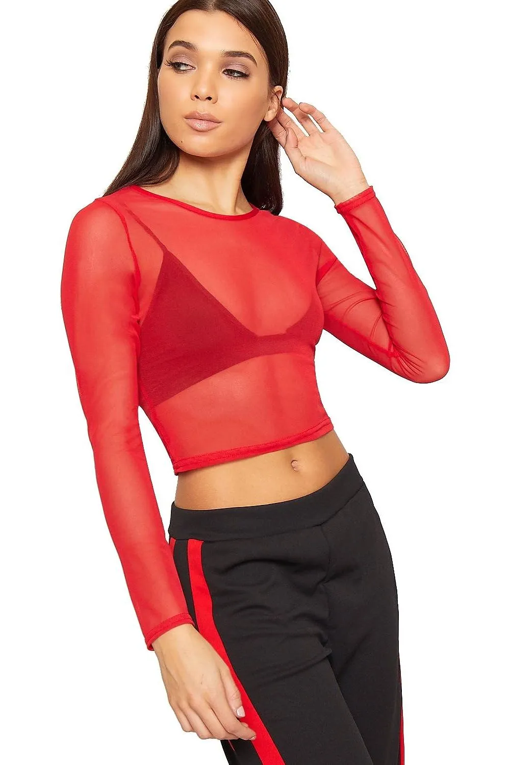 Sheer Mesh Long Sleeve Crop Top