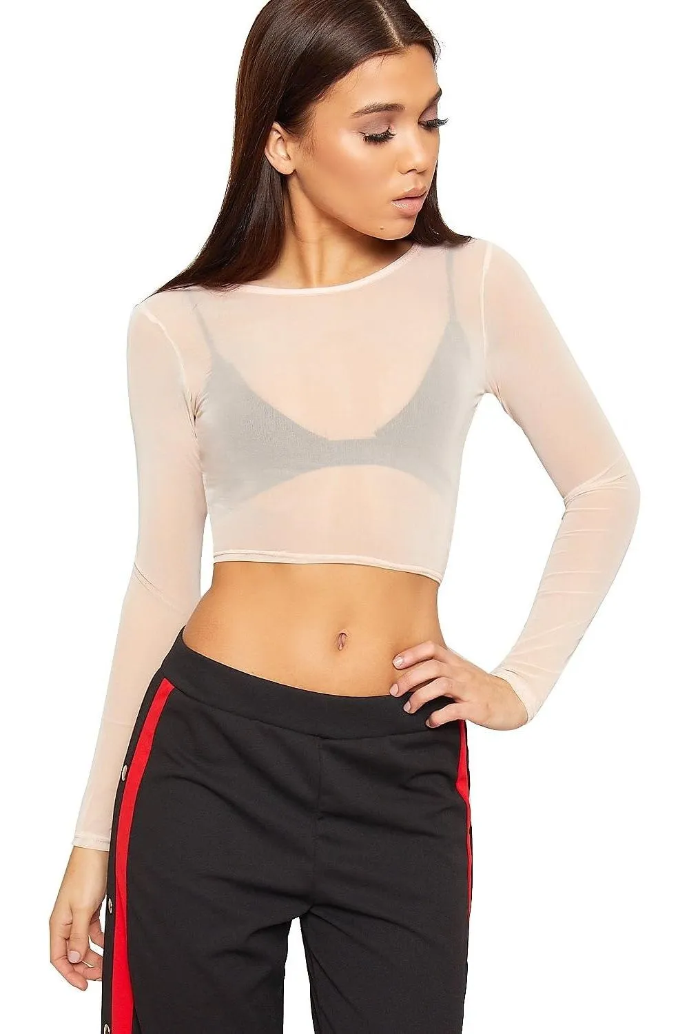Sheer Mesh Long Sleeve Crop Top