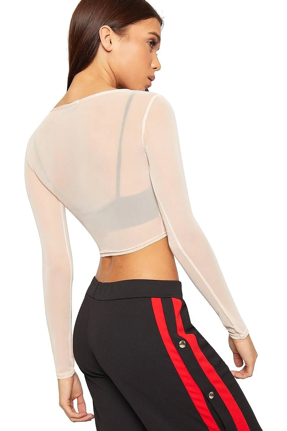 Sheer Mesh Long Sleeve Crop Top