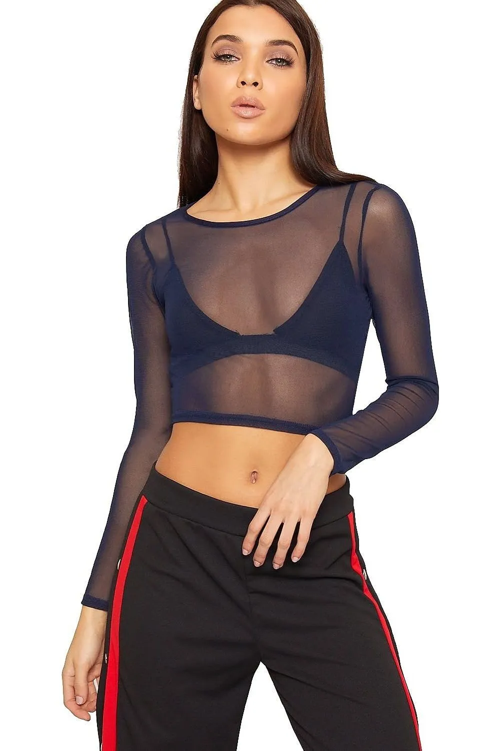 Sheer Mesh Long Sleeve Crop Top