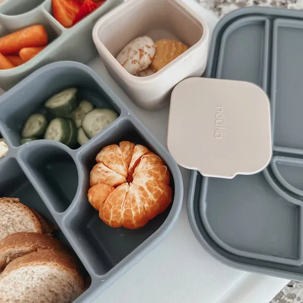 Silicone Sealed Lunch Box