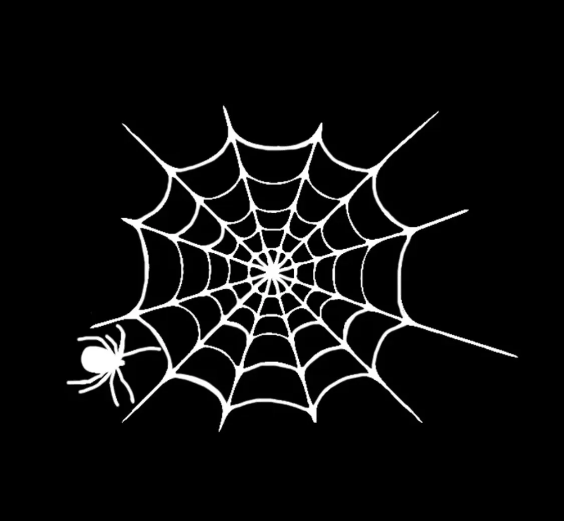 Spiderweb Car Sticker