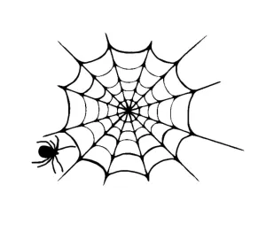 Spiderweb Car Sticker