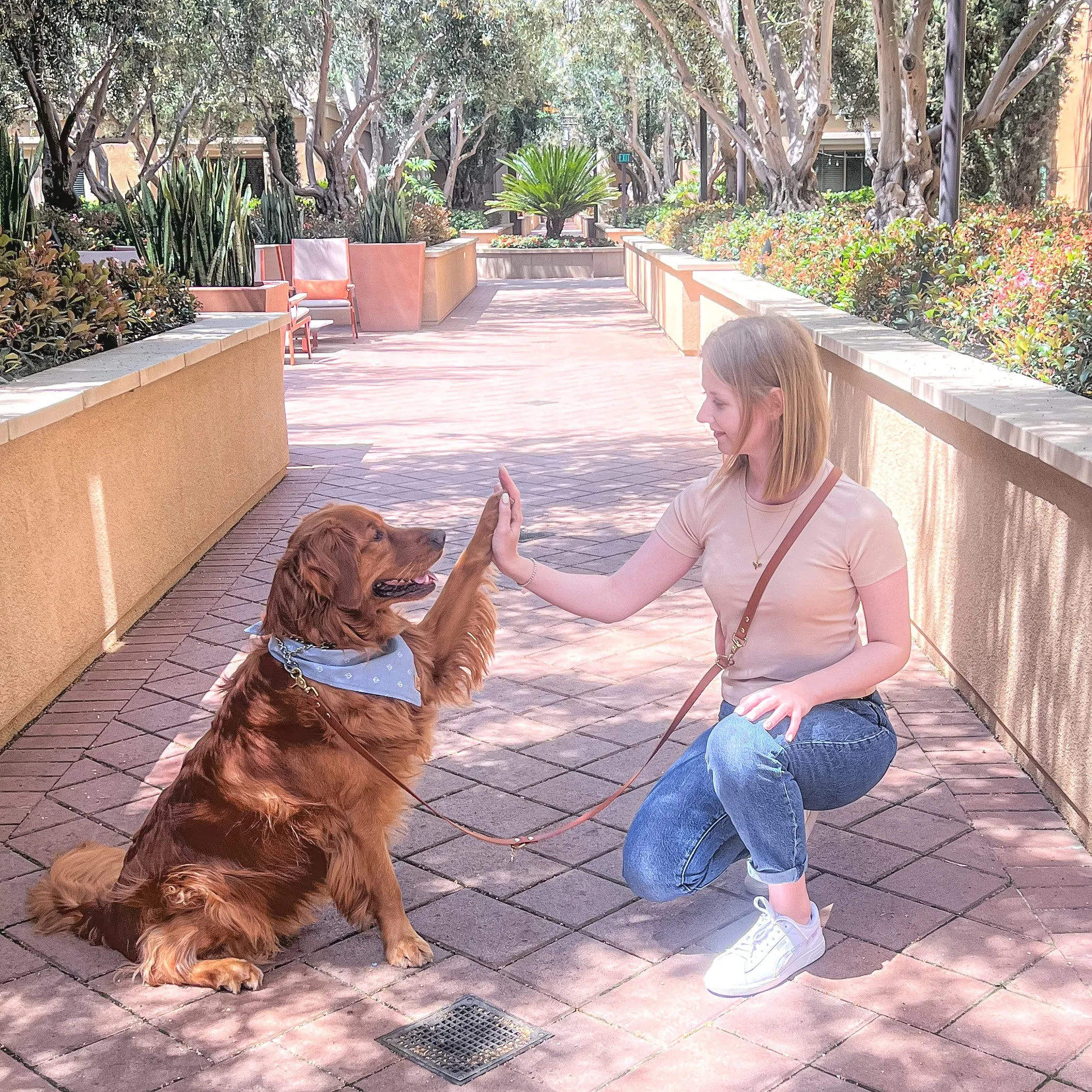Standard Waterproof Hands-Free Dog Leash