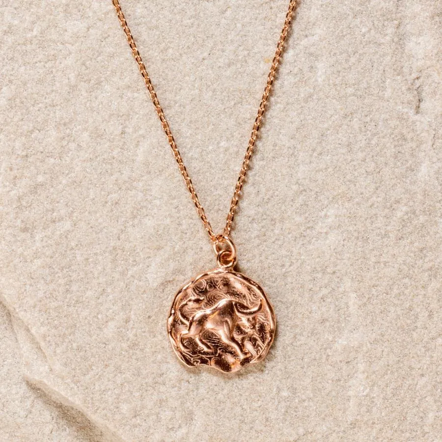 Star Sign Coin Necklace - Taurus