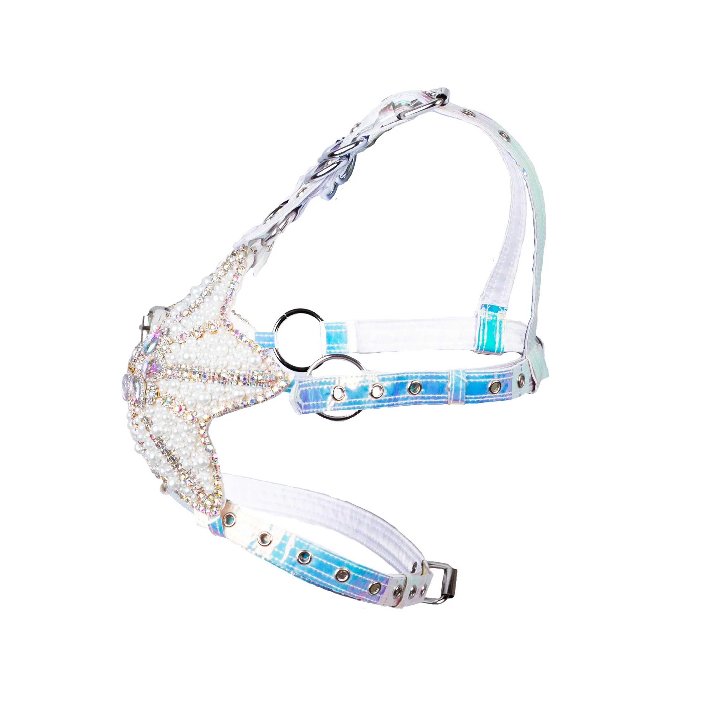 The Spectrum Starfish Bra