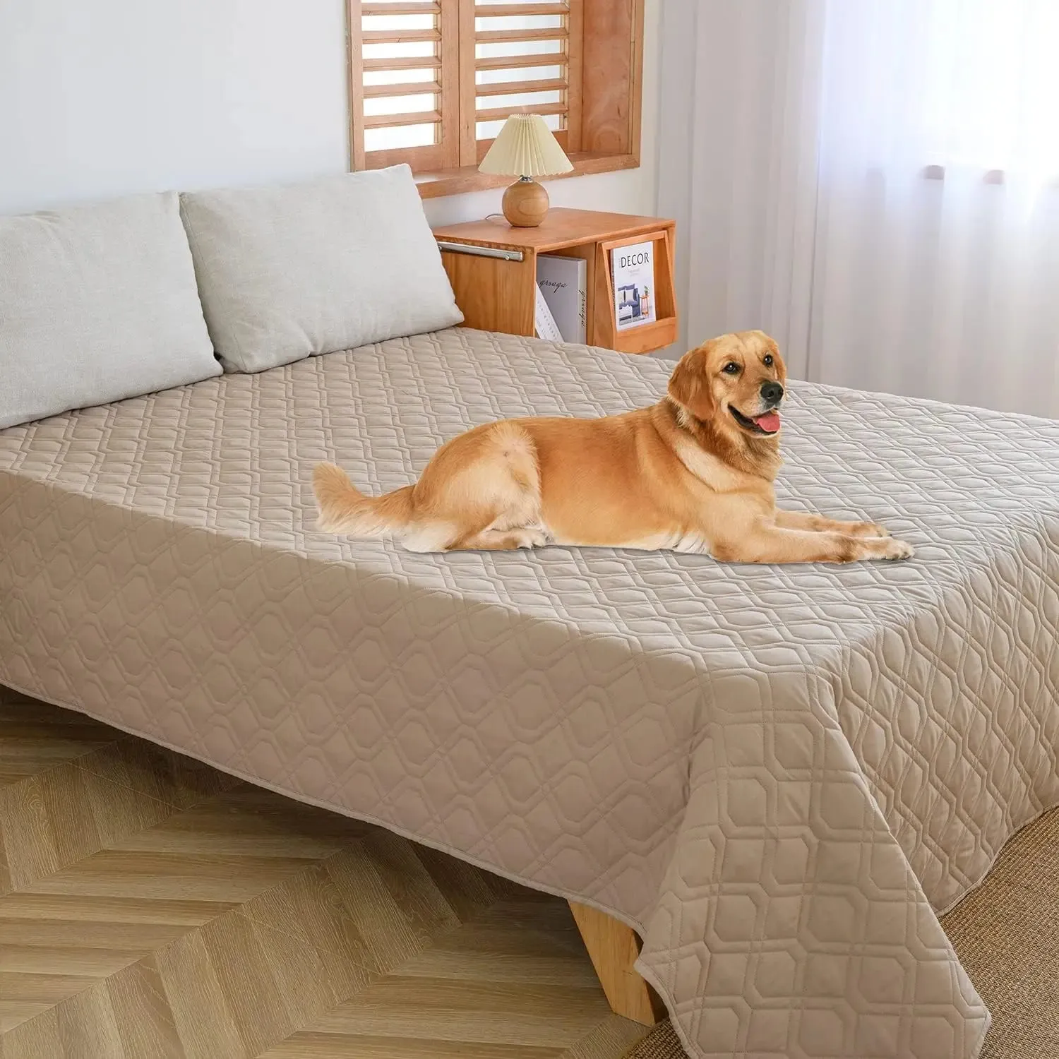 Waterproof Dog Bed Covers for Couch