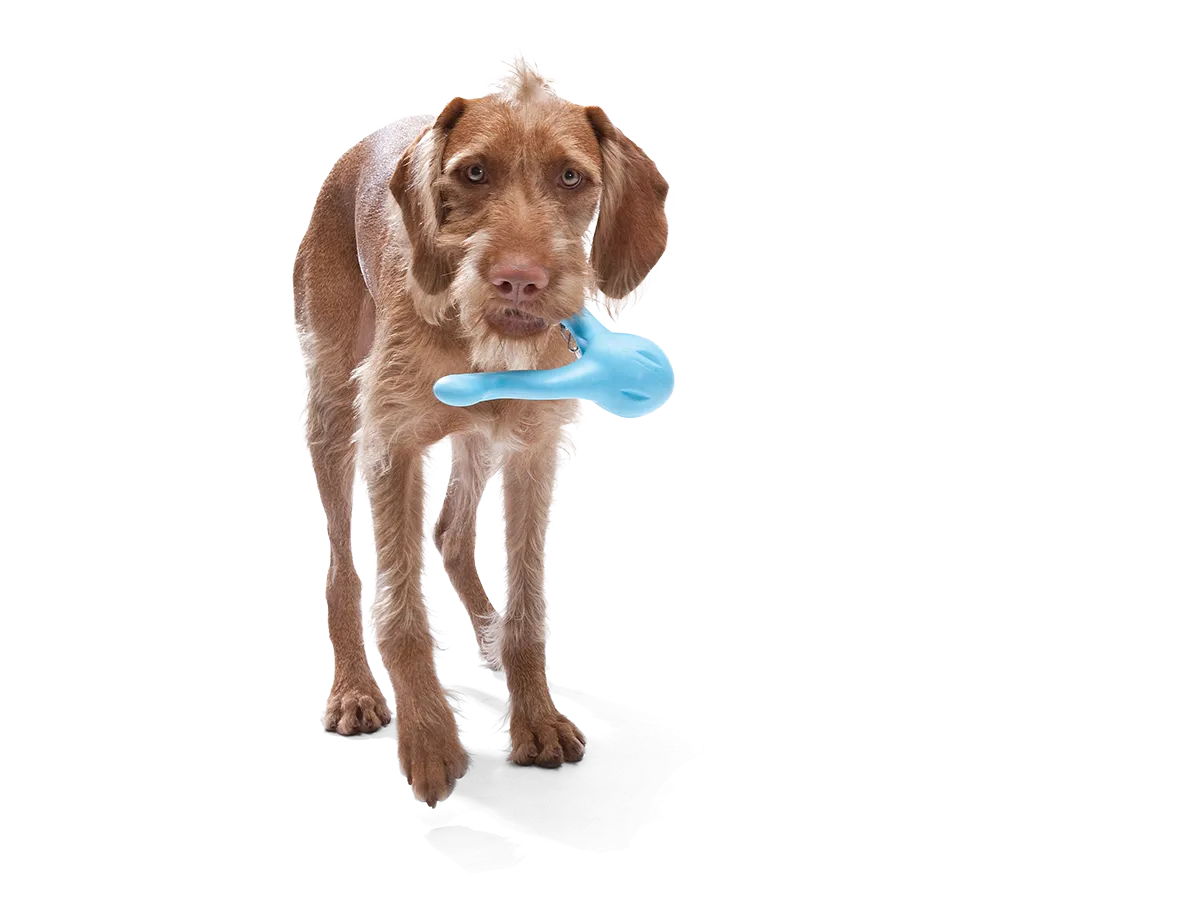 West Paw - Tizzi® Puzzle Treat-Dispensing Dog Enrichment Toy