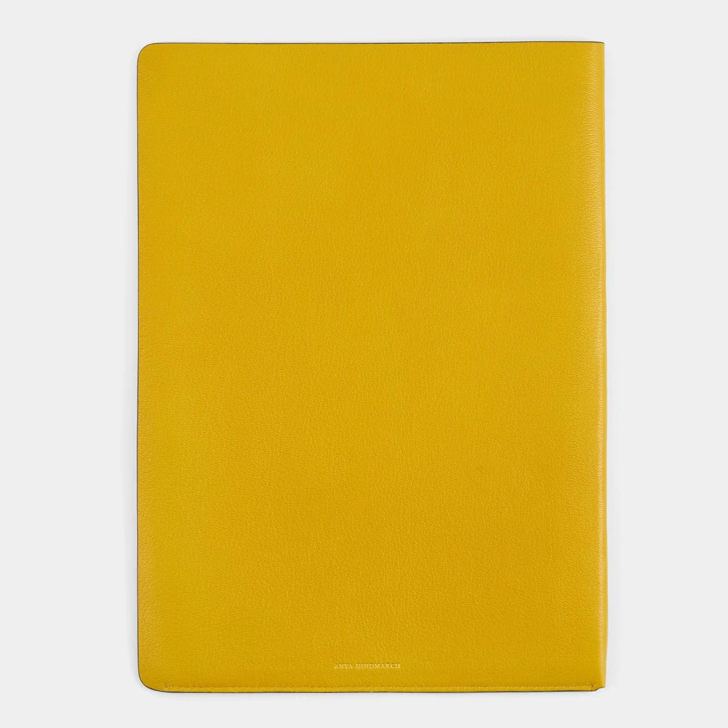Wink A4 Document Sleeve