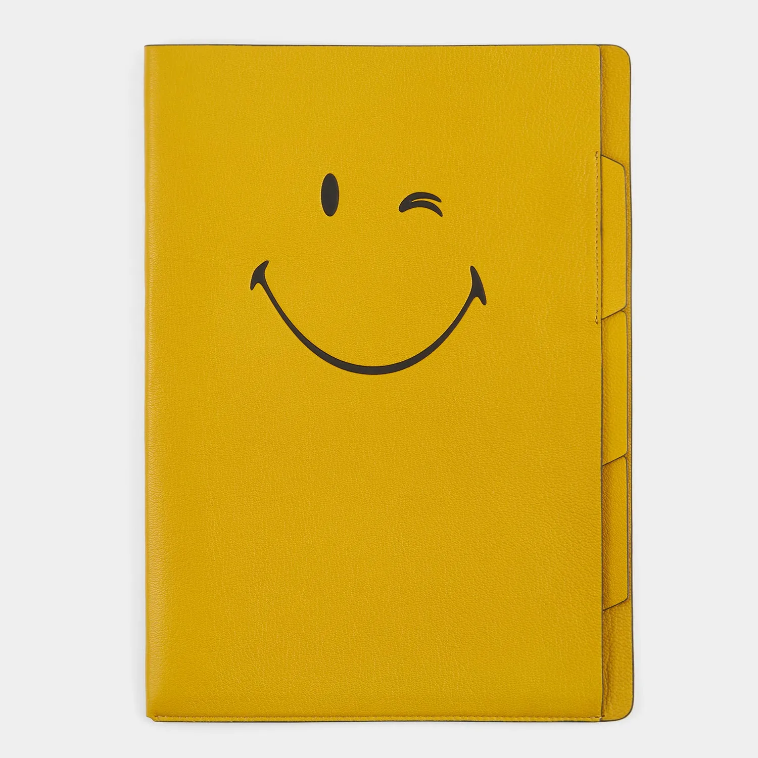 Wink A4 Document Sleeve