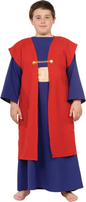 Wiseman I Child Small  Costume