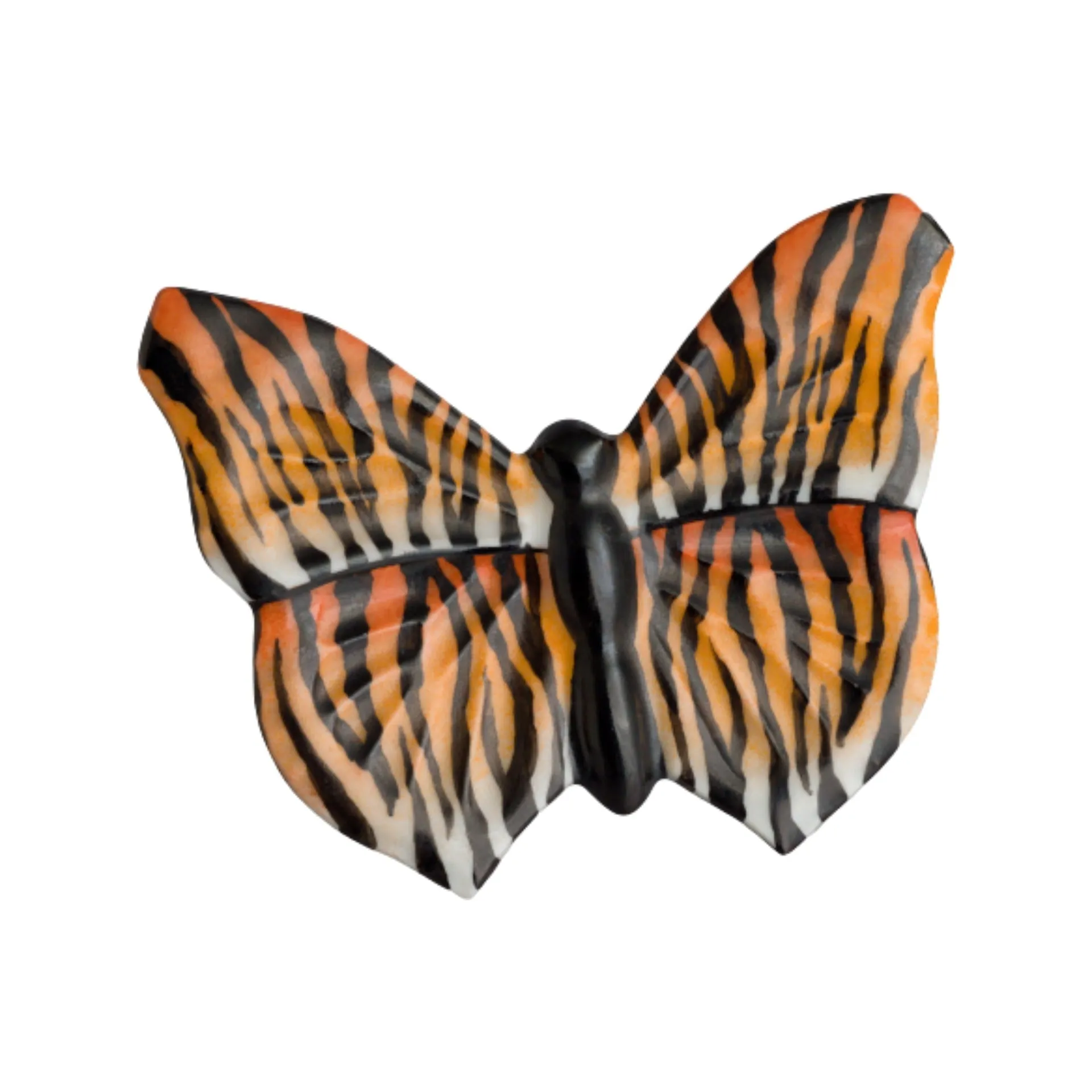 Zebra Butterfly